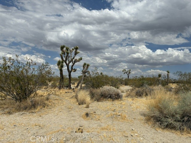 0 Ste/vic Property Photo 1