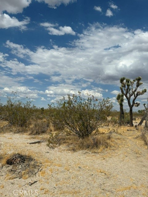 0 Ste/vic Property Photo 2