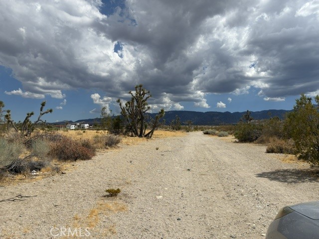 0 Ste/vic Property Photo 3