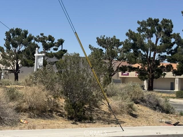 0 Amargosa Road Property Photo 1