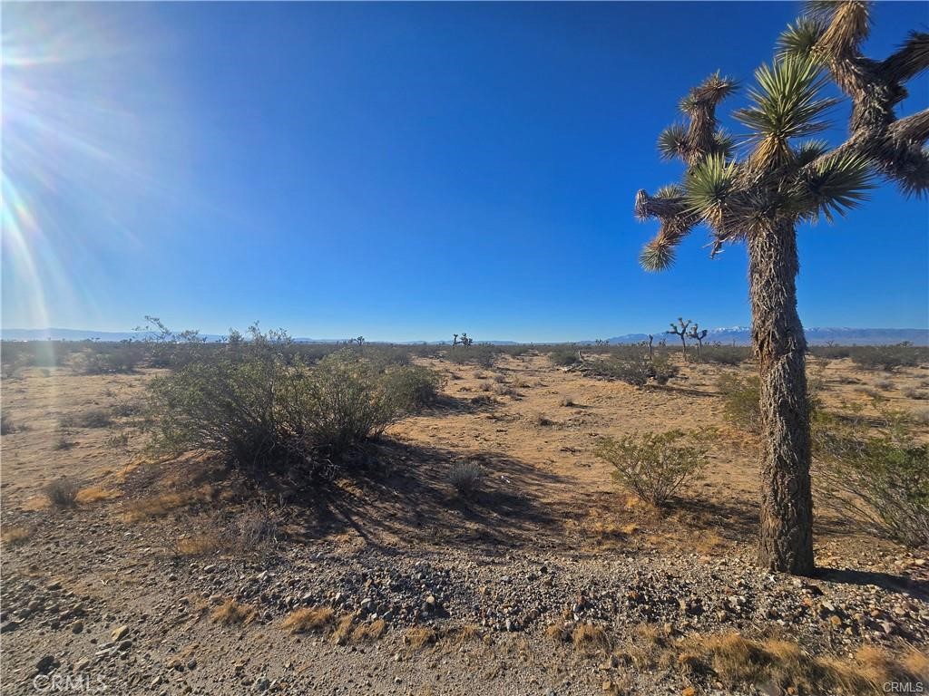11955 Coronado Avenue Property Photo 2