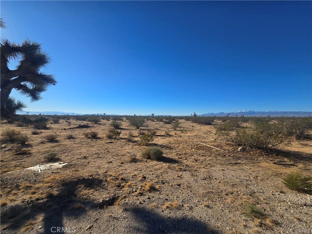 11955 Coronado Avenue Property Photo 3