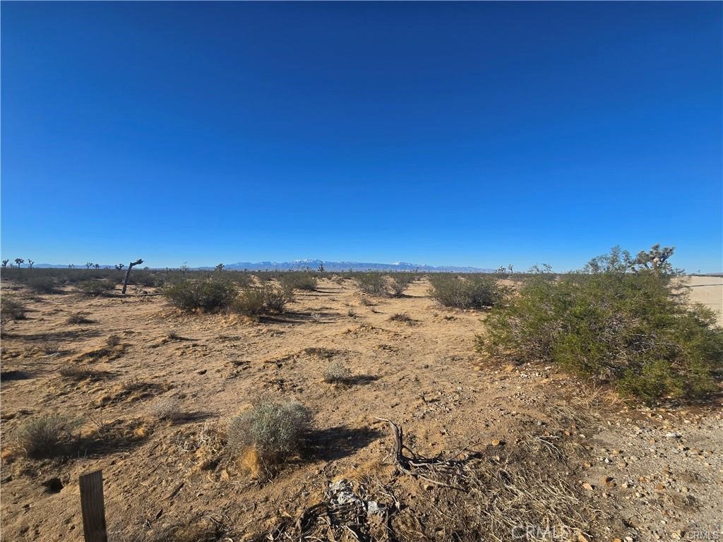 11955 Coronado Avenue Property Photo 4