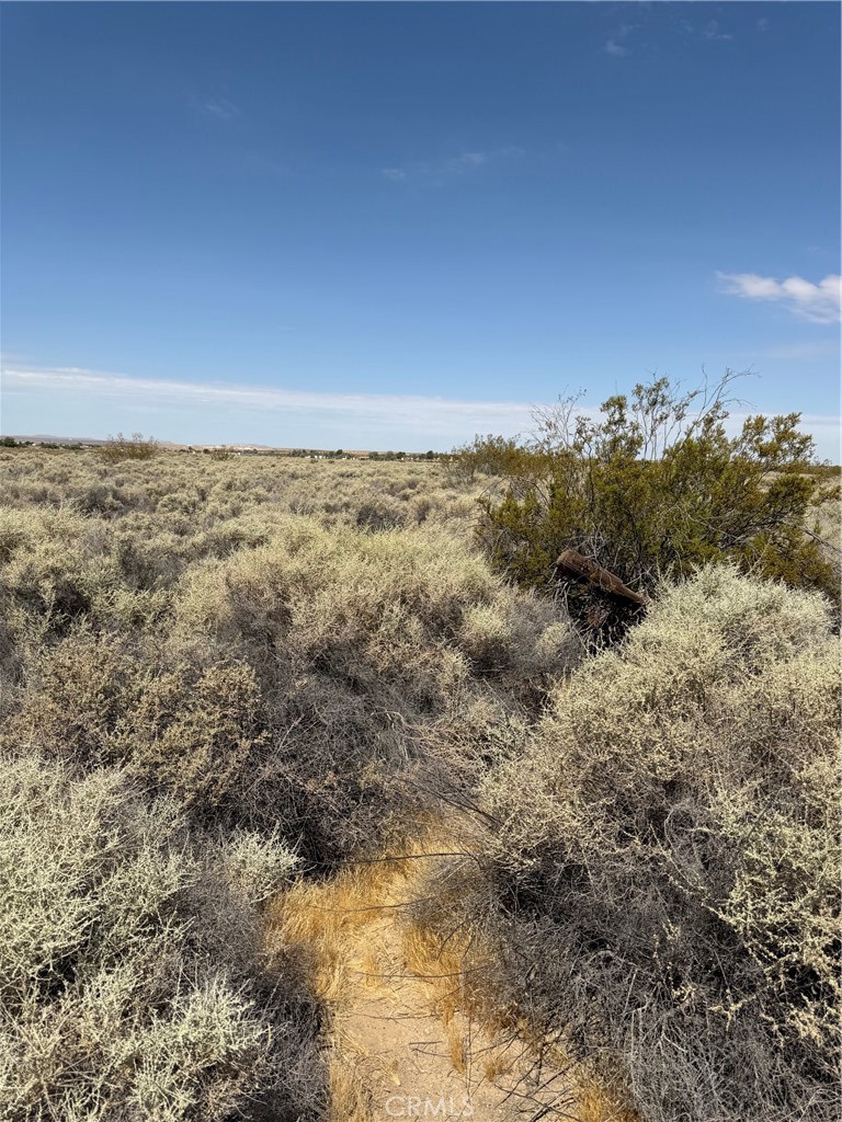 0 Wheeler Property Photo 2