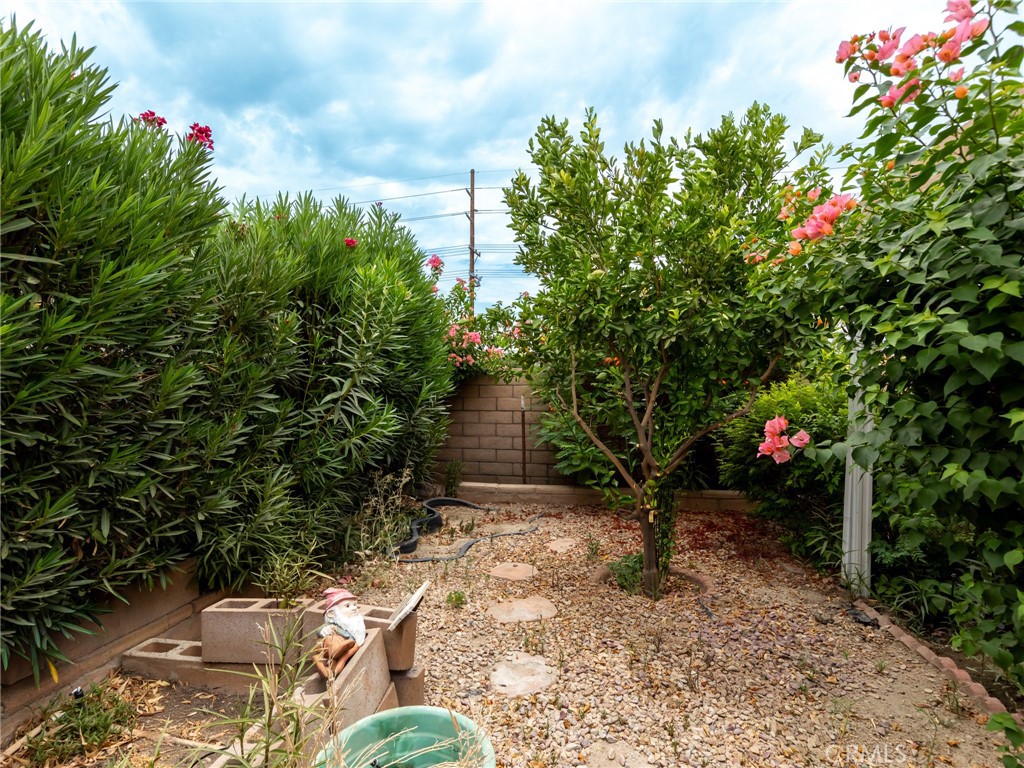 81713 San Cristobal Avenue Property Photo 32