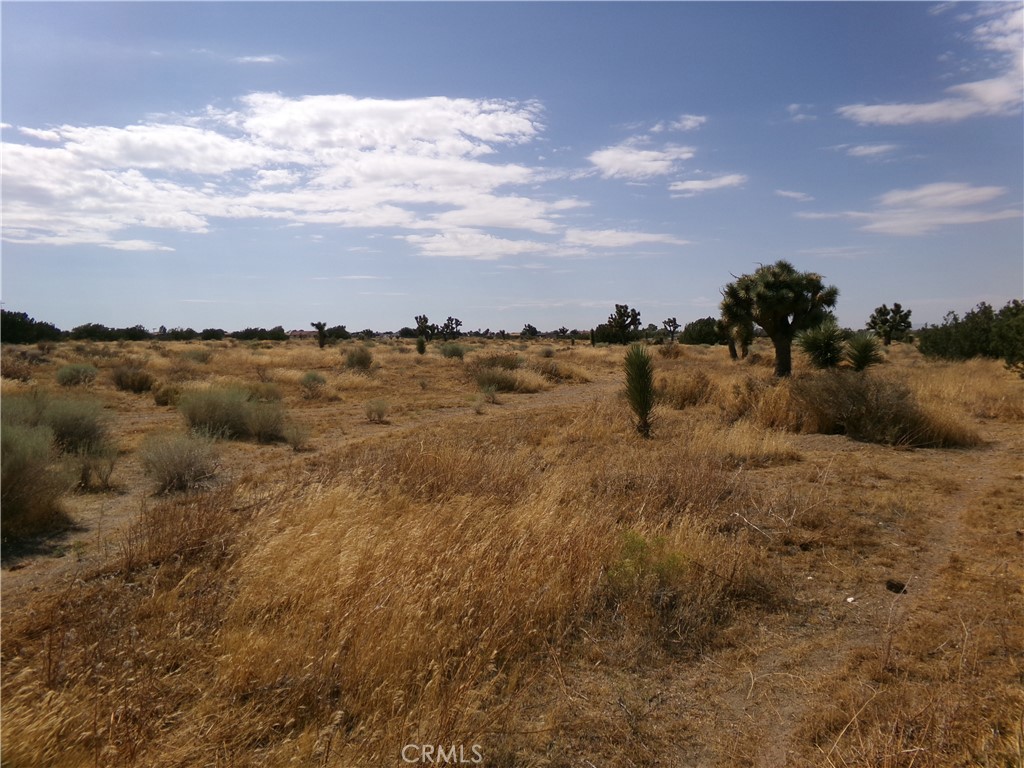 0 Phelan Road Property Photo 1