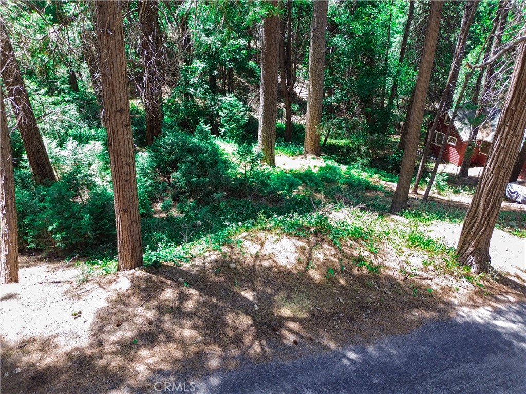 590 Electra Drive Property Photo 4