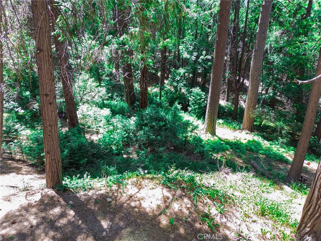 590 Electra Drive Property Photo 5