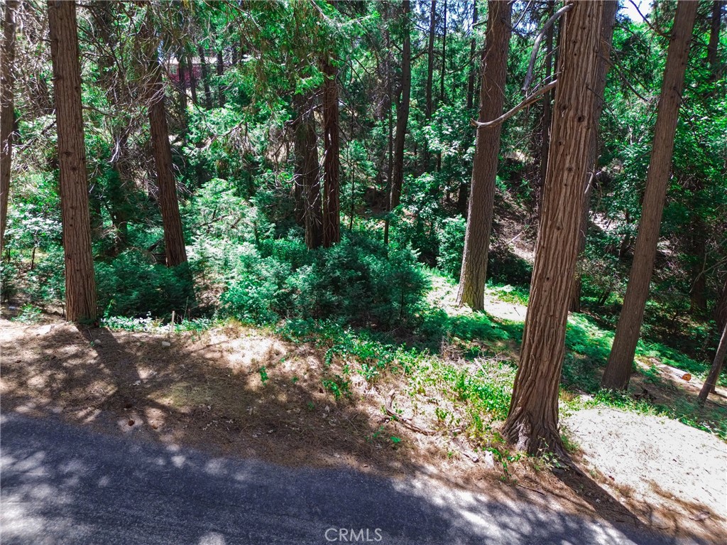 590 Electra Drive Property Photo 6