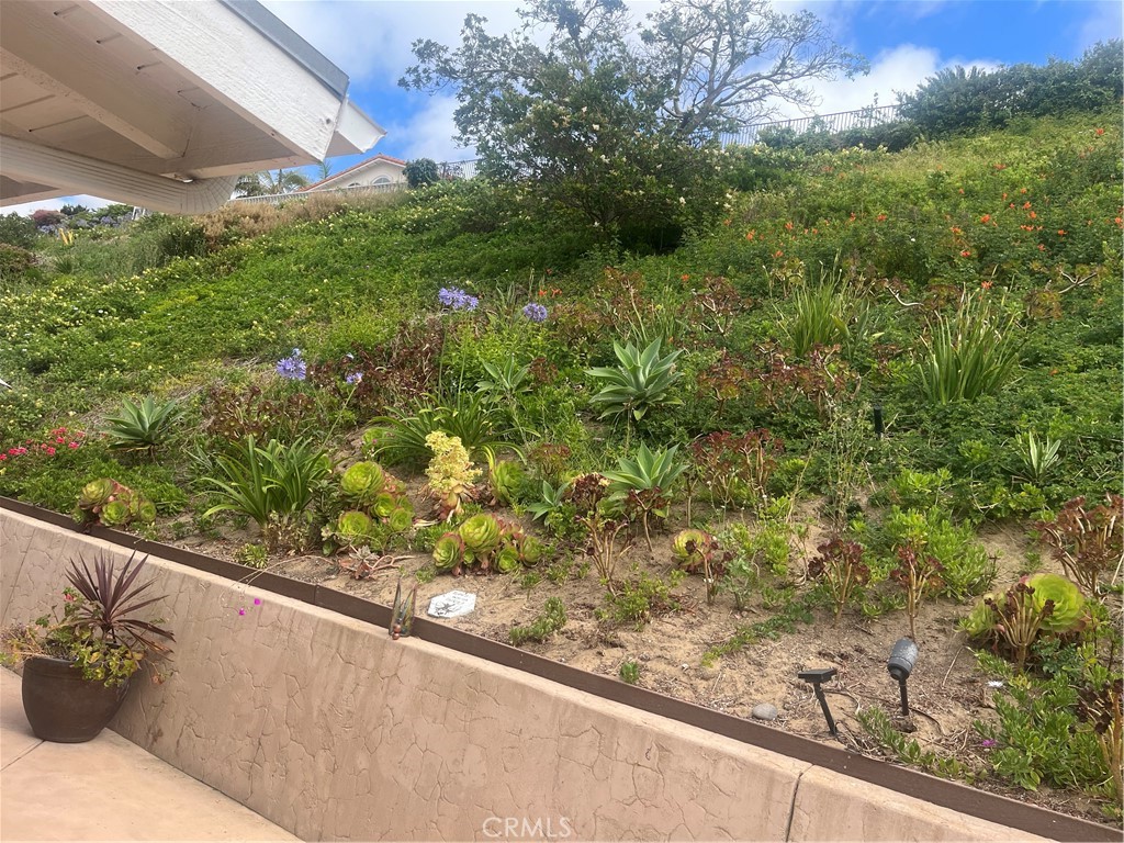 1025 Santa Queta Property Photo 17