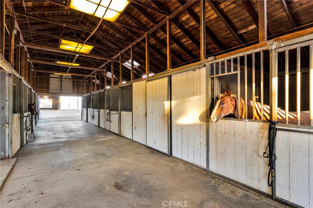 31120 Kelstar Property Photo 46