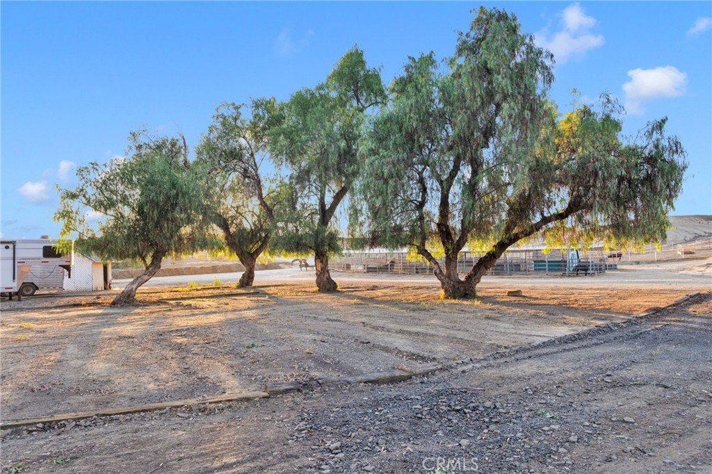 31120 Kelstar Property Photo 58