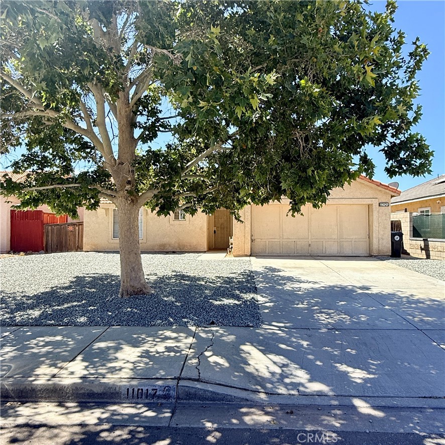 11017 Desert Rose Property Photo 2