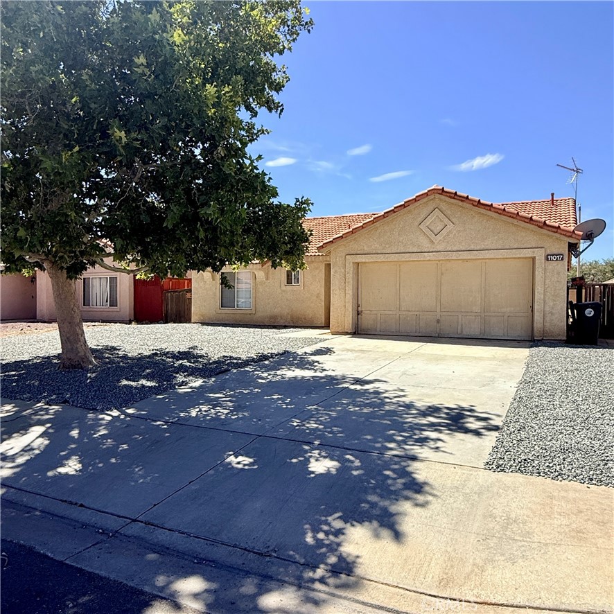 11017 Desert Rose Property Photo 3