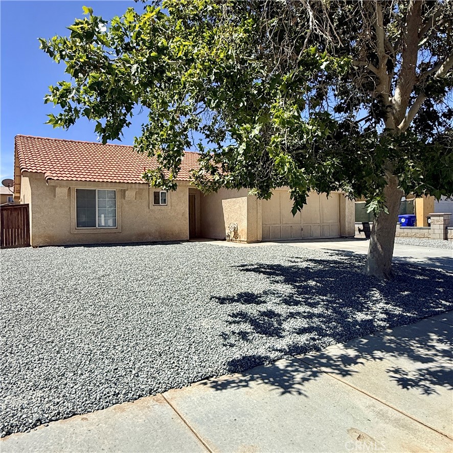 11017 Desert Rose Property Photo 4