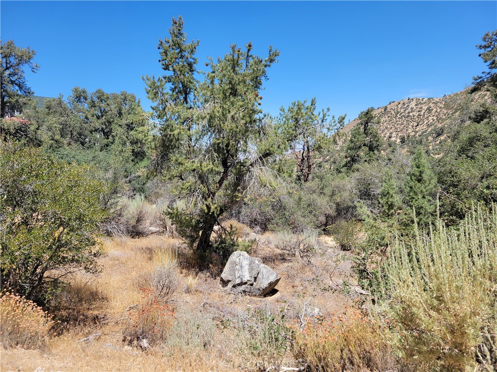 0 Old Oak Springs Valley Road Property Photo 4