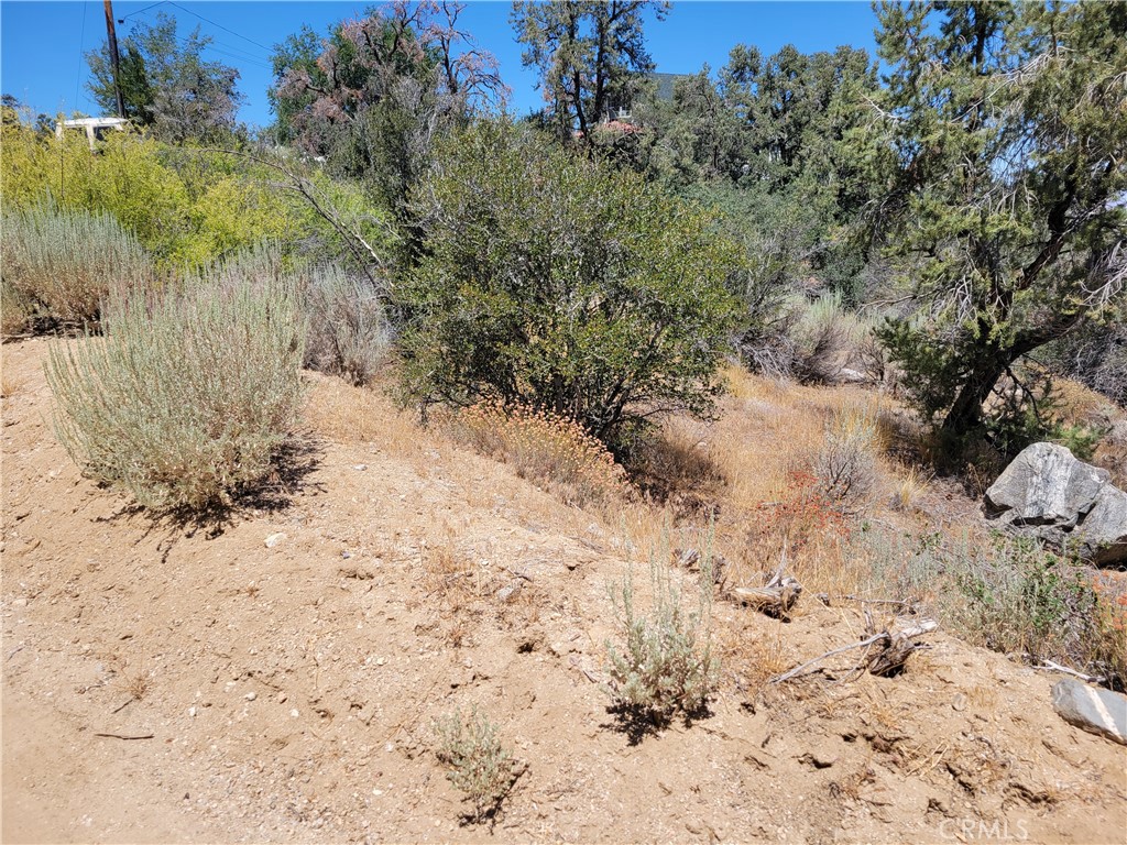 0 Old Oak Springs Valley Road Property Photo 5