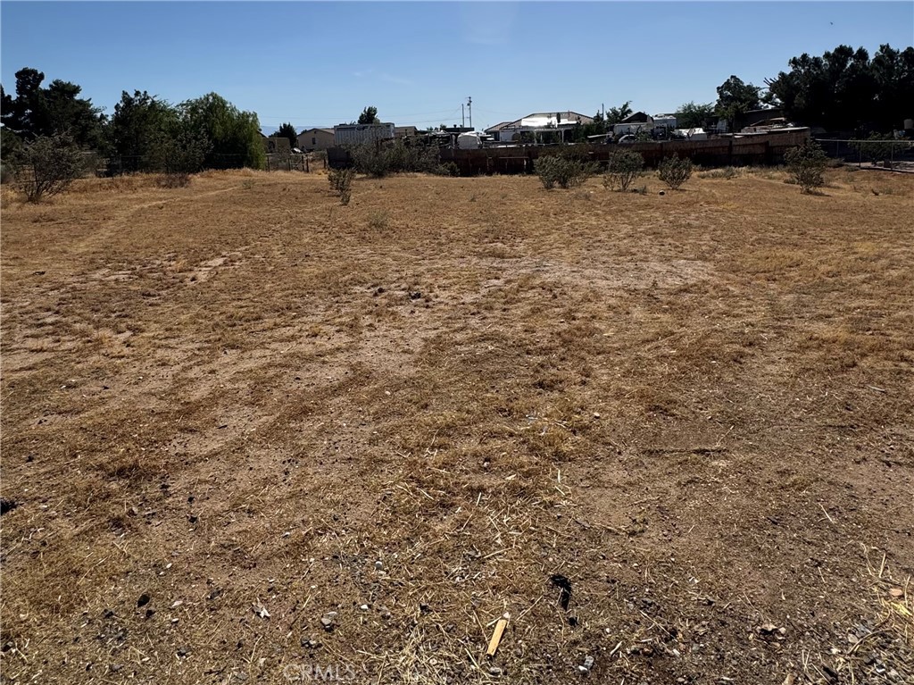 11968 Bornite Ave Property Photo 24