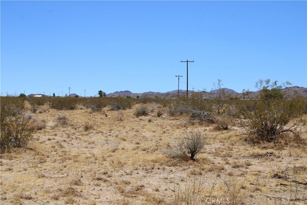 5 Ac Joshua Tree Property Photo 1