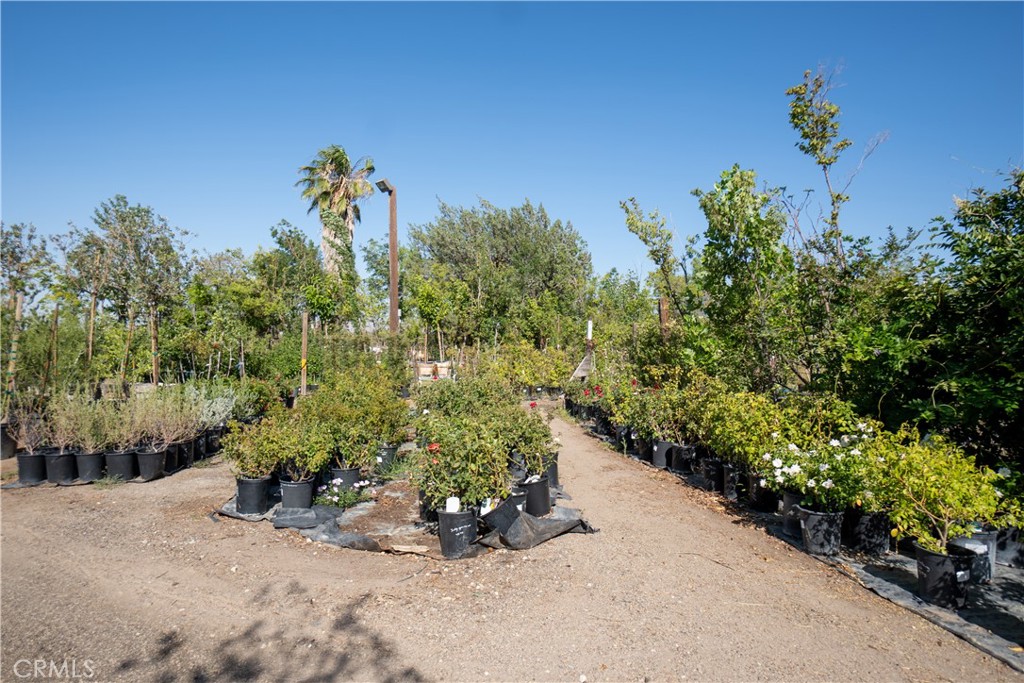 13874 Ranchero Road Property Photo 13