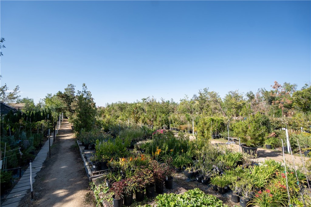 13874 Ranchero Road Property Photo 18