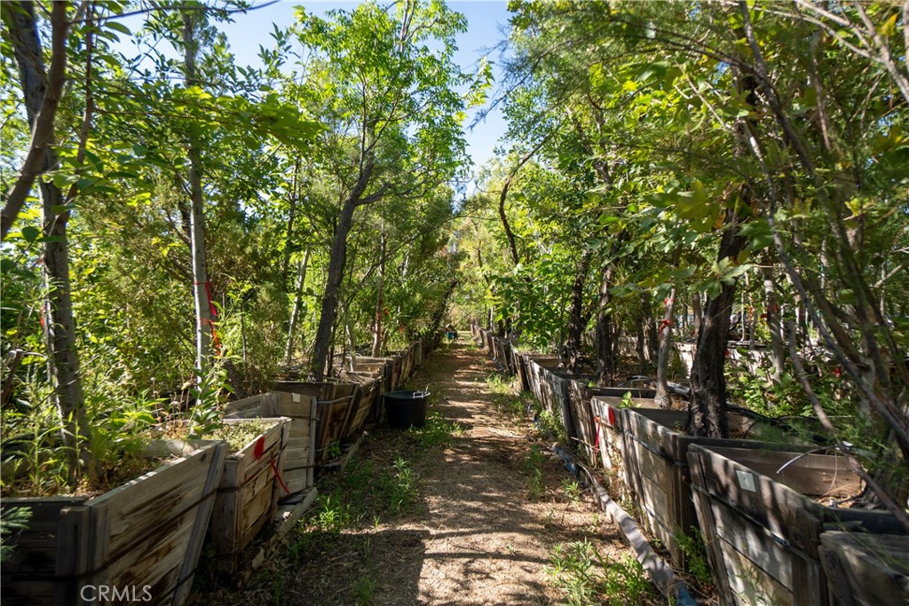 13874 Ranchero Road Property Photo 25