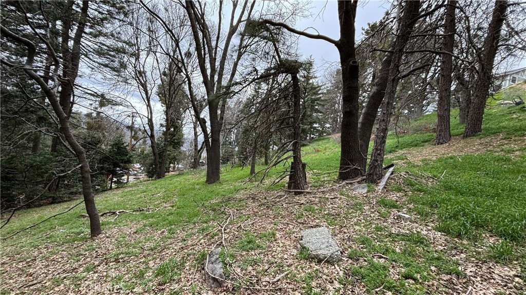 757 Scenic View Drive Property Photo 1
