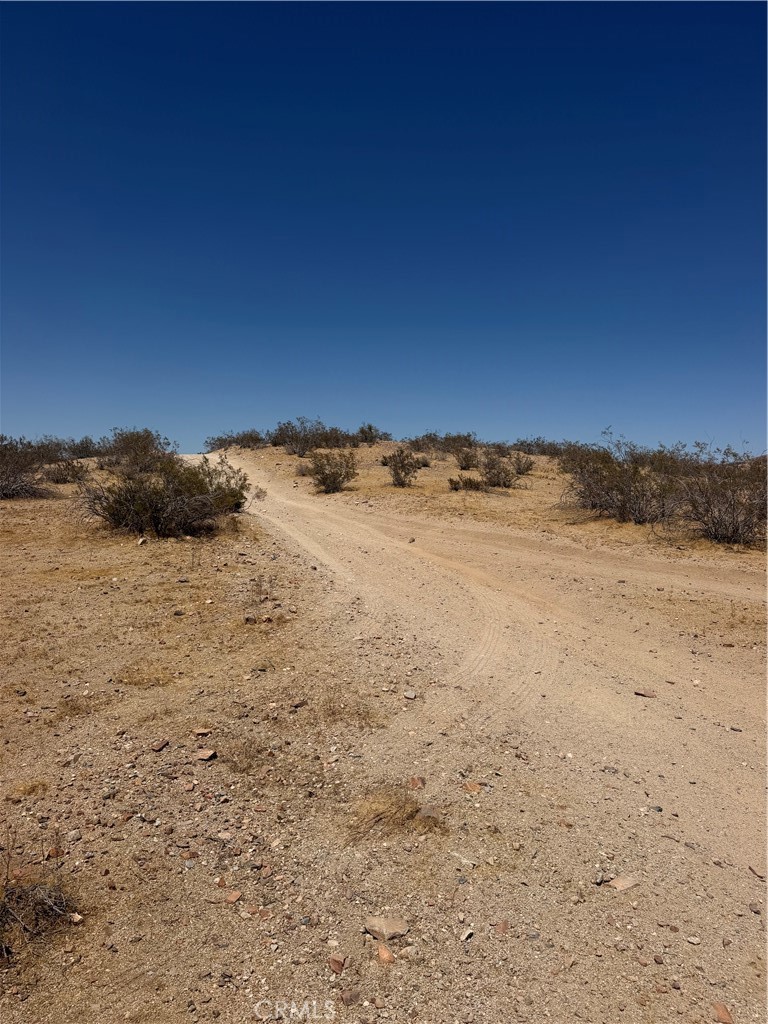 39 Leaping Lizard Lane Property Photo 1