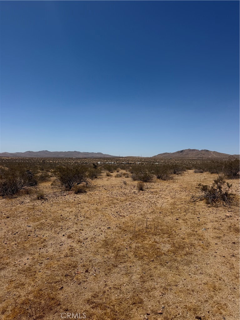 39 Leaping Lizard Lane Property Photo 2
