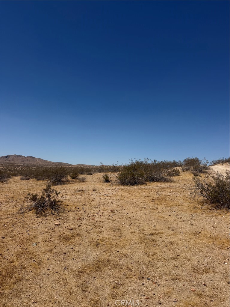 39 Leaping Lizard Lane Property Photo 3