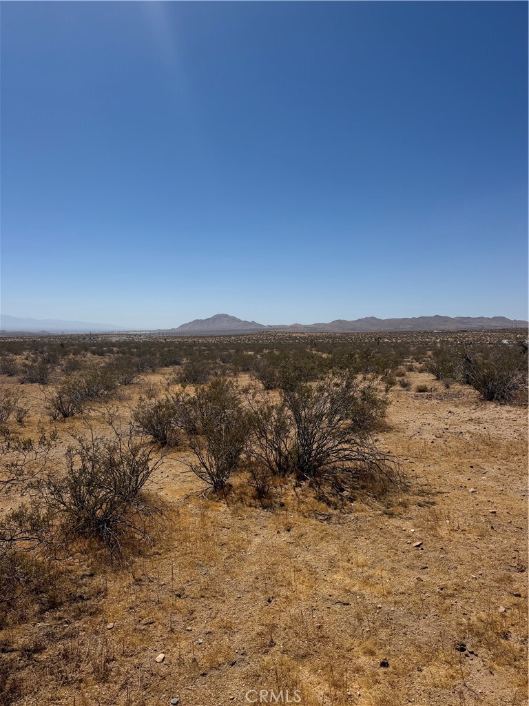 39 Leaping Lizard Lane Property Photo 4