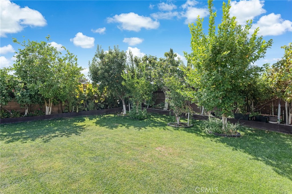 15143 Arcadian Property Photo 23