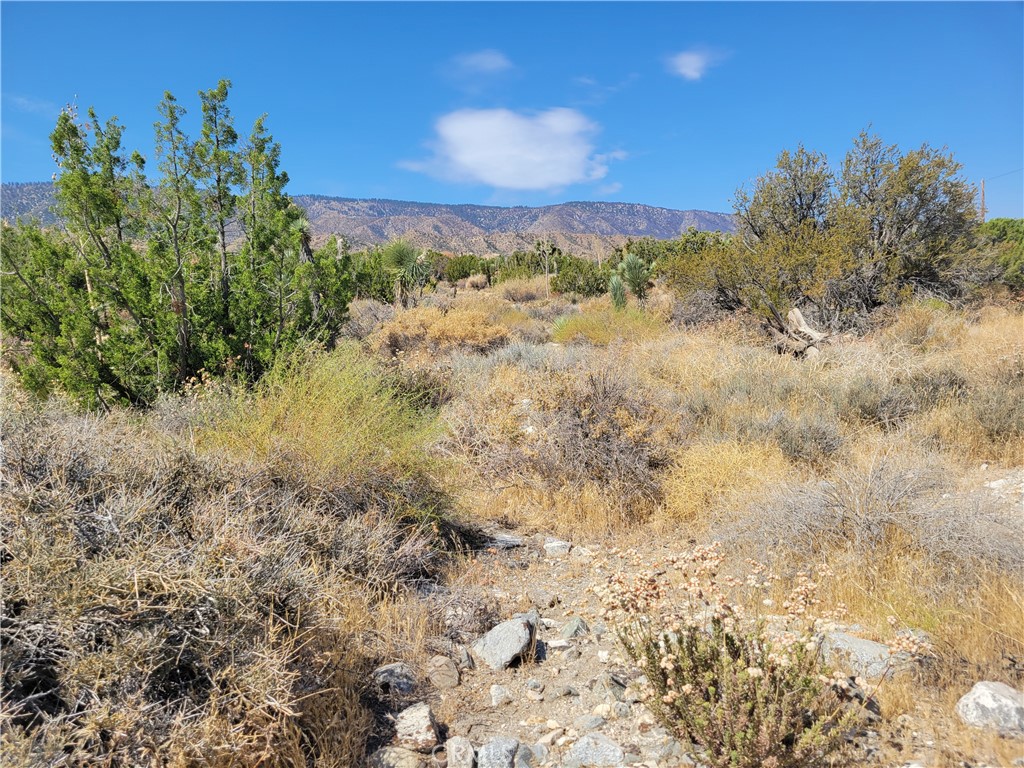 0 Tamarack Property Photo 1