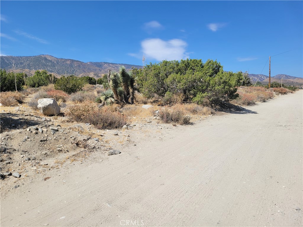0 Tamarack Property Photo 2