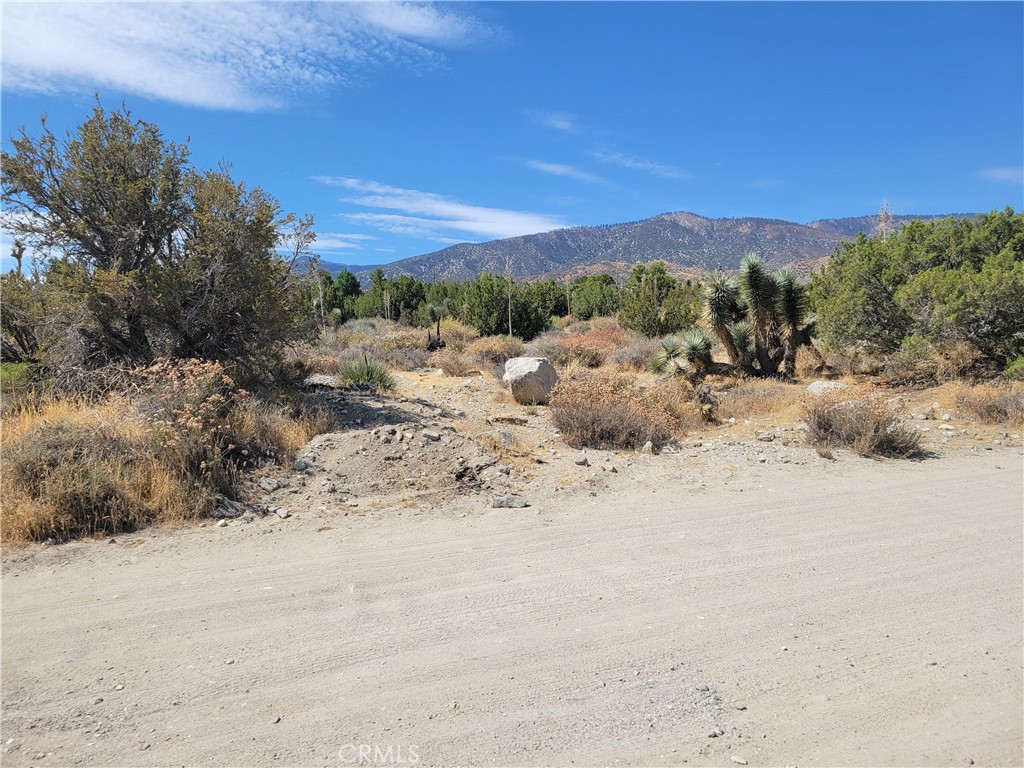 0 Tamarack Property Photo 4