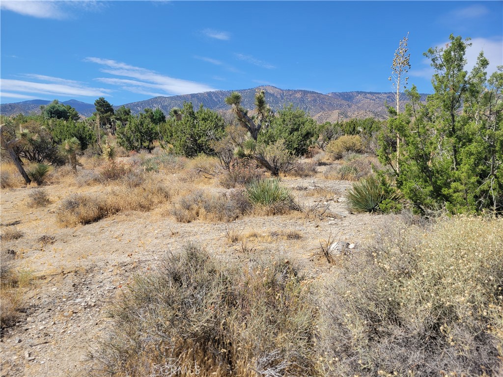 0 Tamarack Property Photo 6