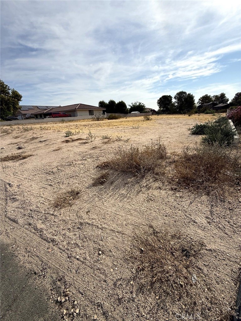 26817 Saddle Property Photo 3