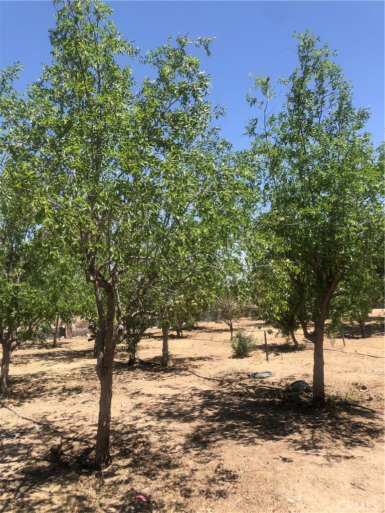 32726 Agate Road Property Photo 1