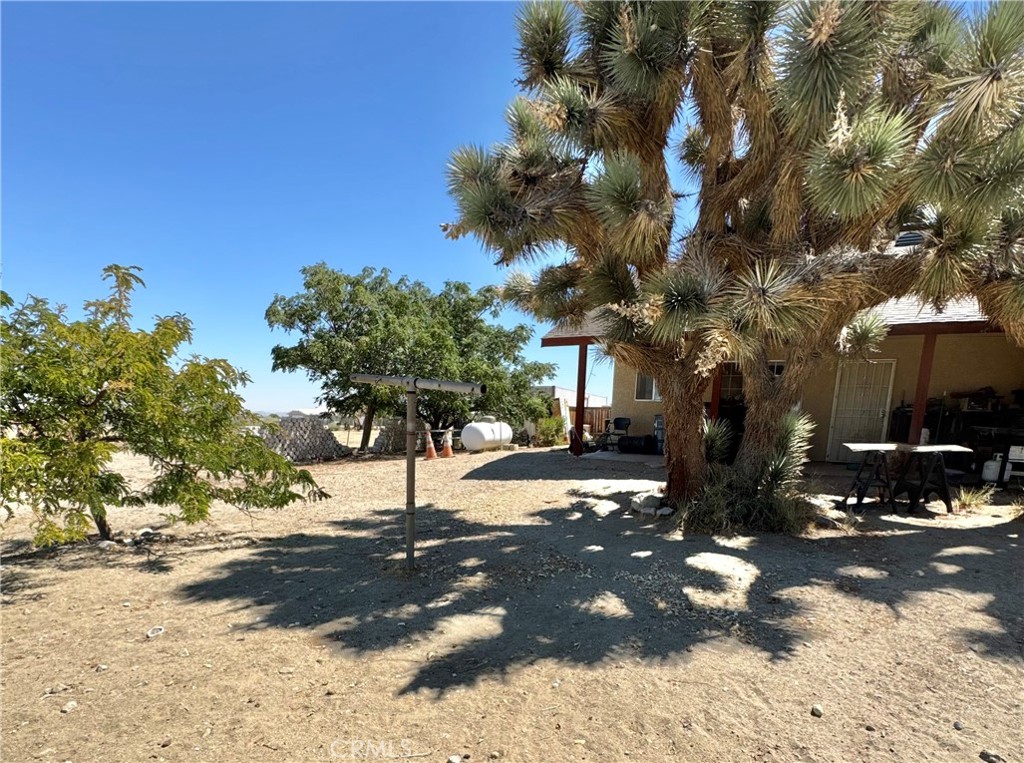 11522 Pinon Hills Property Photo 14