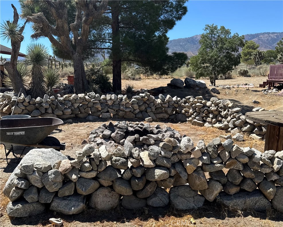 11522 Pinon Hills Property Photo 18
