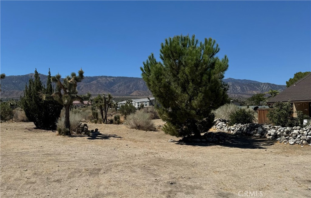 11522 Pinon Hills Property Photo 19