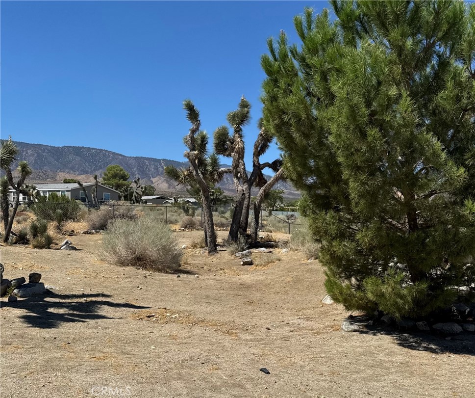 11522 Pinon Hills Property Photo 22