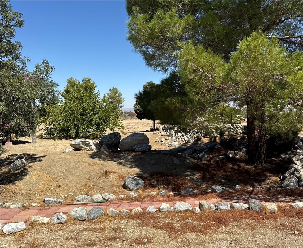 11522 Pinon Hills Property Photo 23