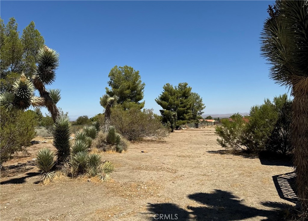 11522 Pinon Hills Property Photo 24