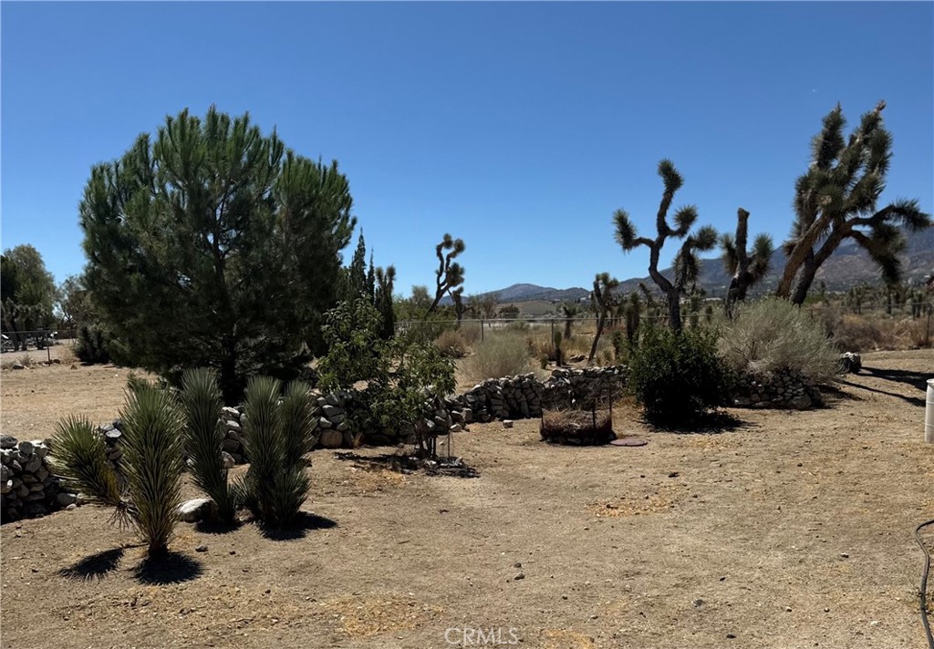 11522 Pinon Hills Property Photo 26