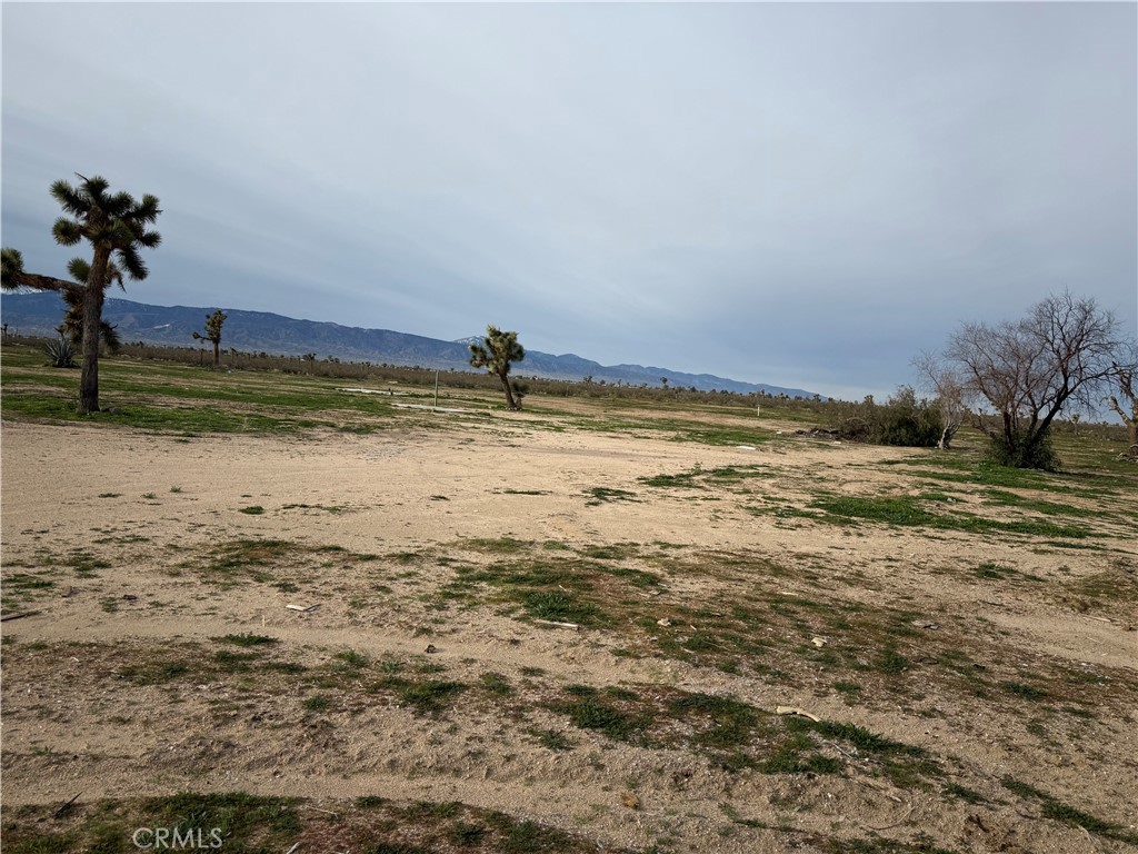 14650 Manada Property Photo 3