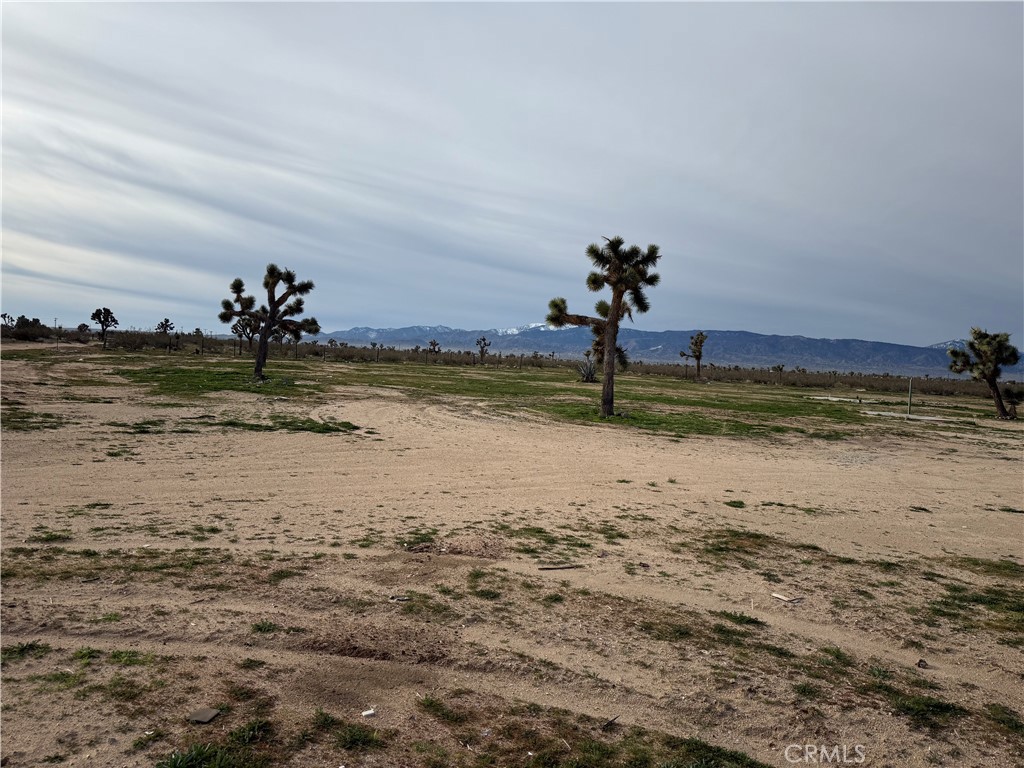 14650 Manada Property Photo 4