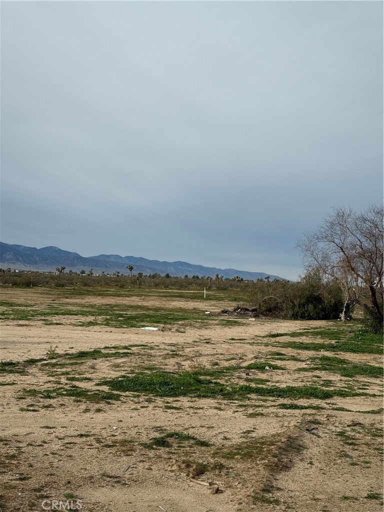 14650 Manada Property Photo 6