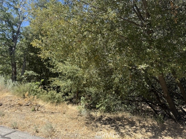 22301 Bernina Way Property Photo 3