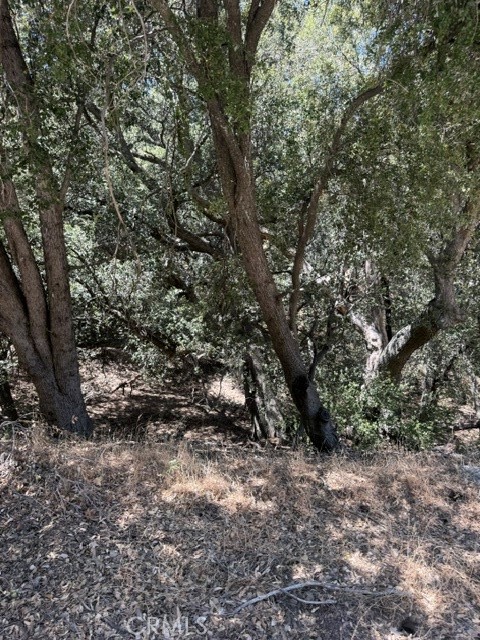 22301 Bernina Way Property Photo 4